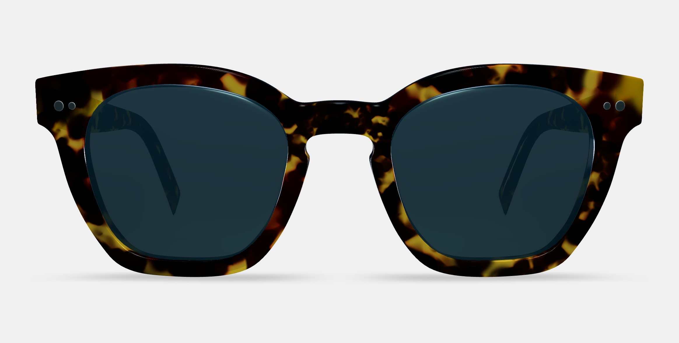 Terrell Sunglasses in Black Oak Tortoise 3D model_11