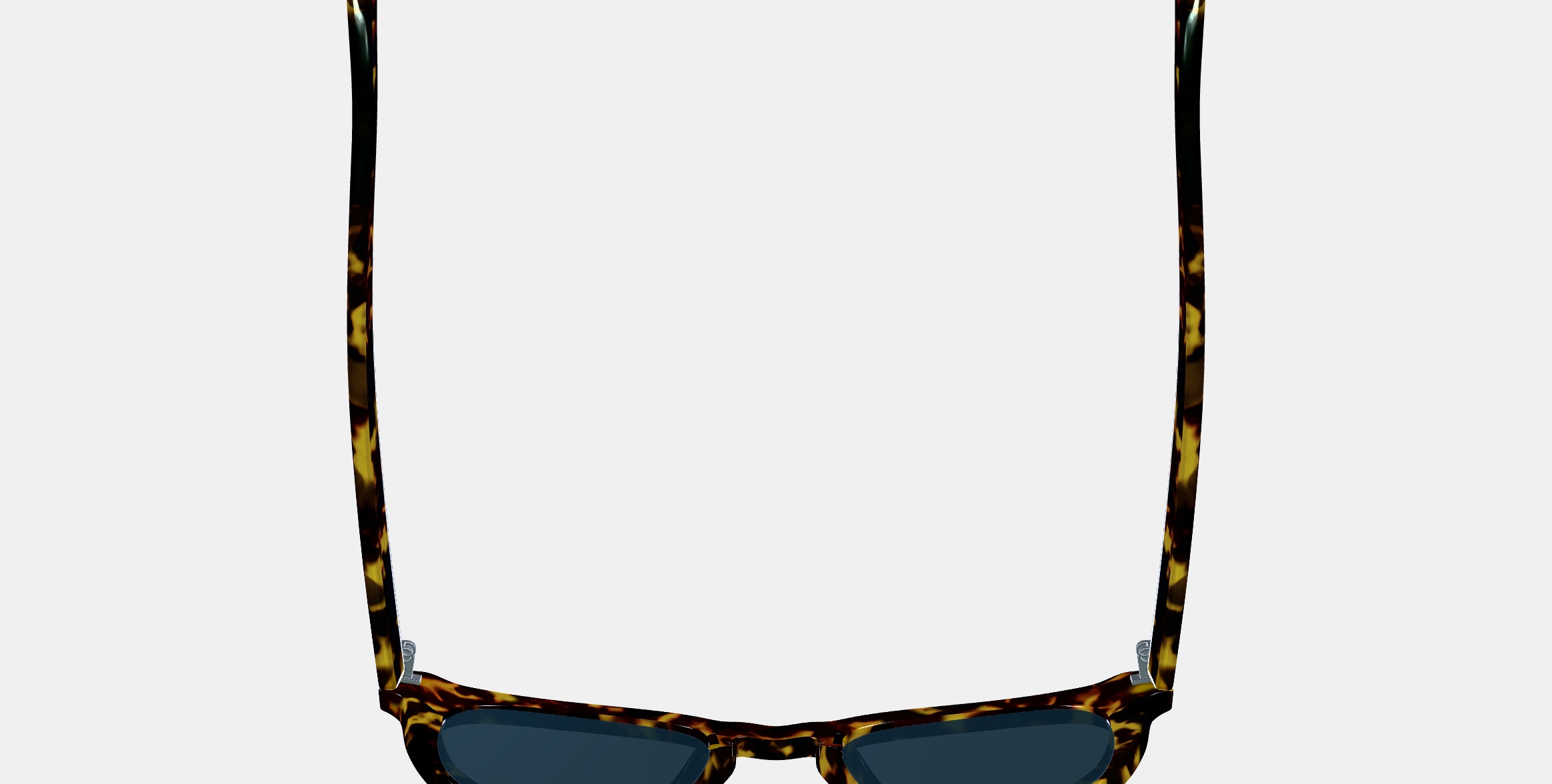 Terrell Sunglasses in Black Oak Tortoise 3D model_7