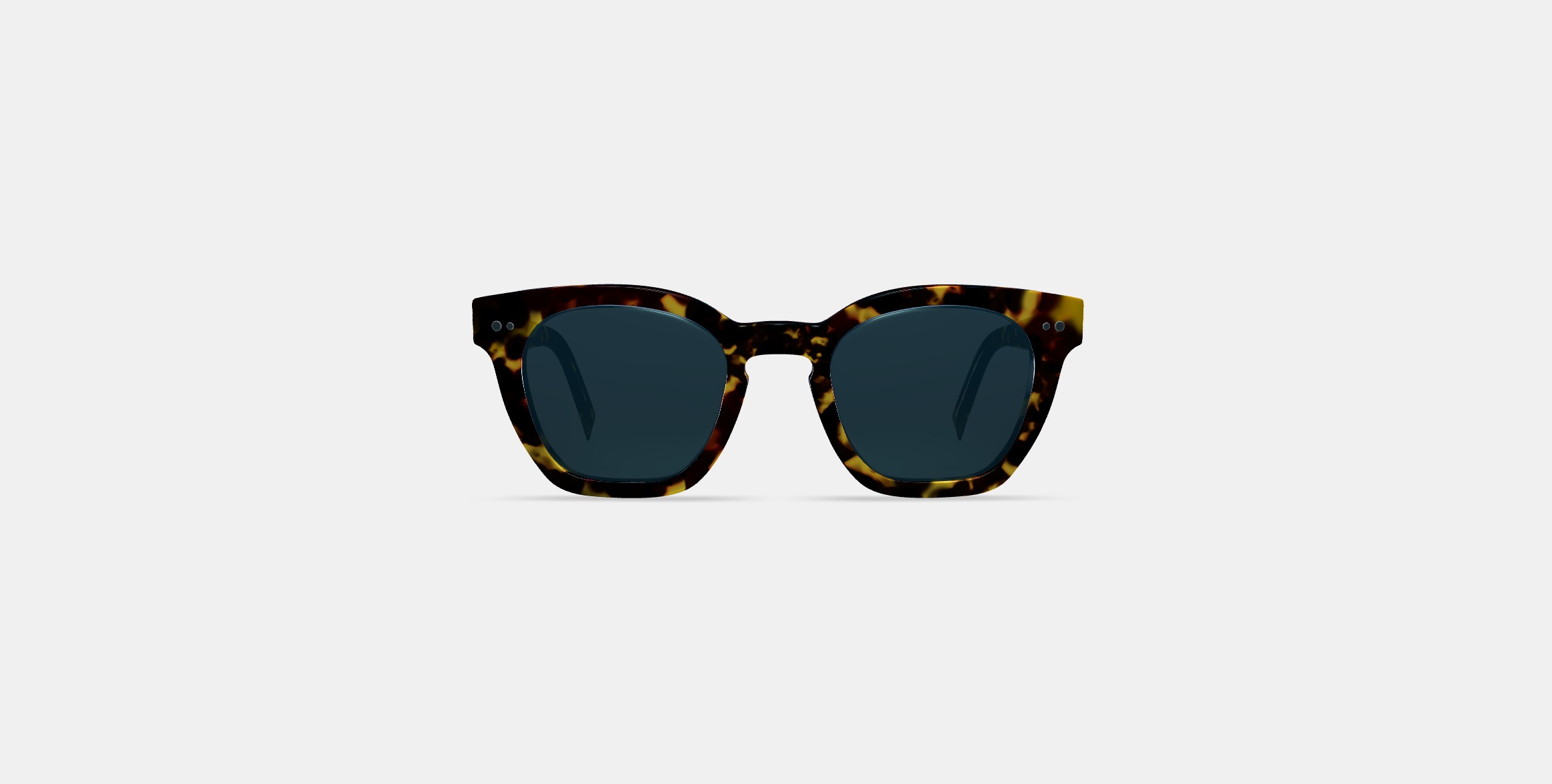 Terrell Sunglasses in Black Oak Tortoise 3D model_10