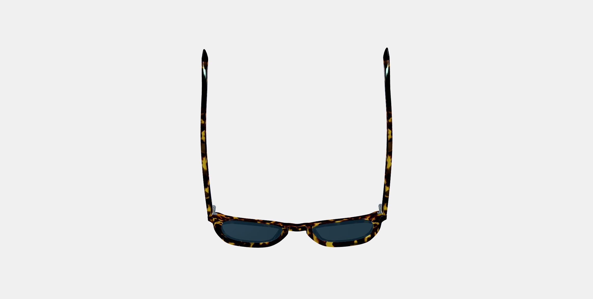 Terrell Sunglasses in Black Oak Tortoise 3D model_6