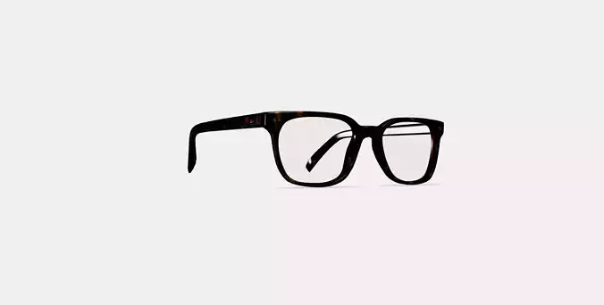 Hector Eyeglasses in Whiskey Tortoise