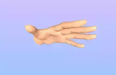 WOMAN HAND 3D model