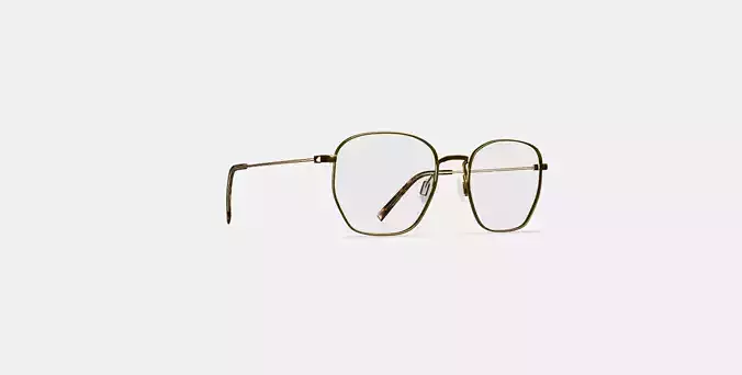Hale Eyeglasses in Polished Gold