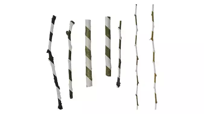 Anydrafts Celtis sinensis Stem 01