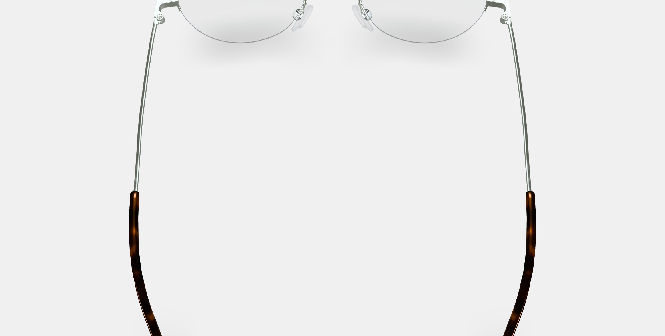 Canning Eyeglasses in Polished Silver 3D model_4
