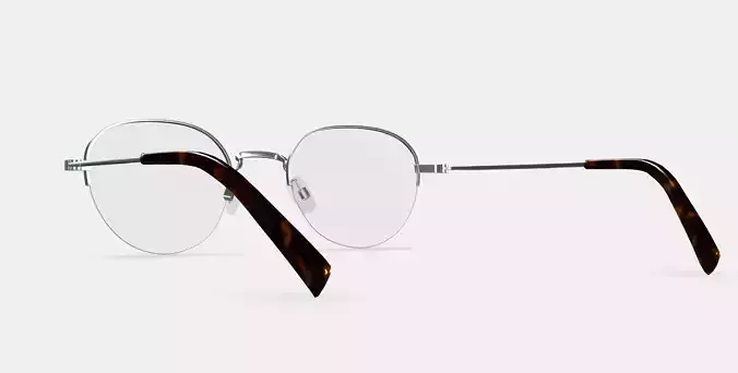 Canning Eyeglasses in Polished Silver 3D model