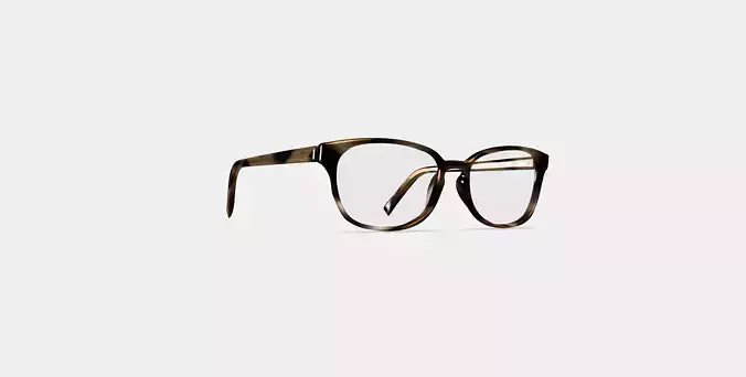 Clemens Eyeglasses in Striped Sassafras