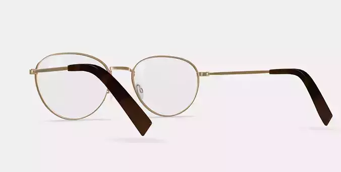 Hawkins Eyeglasses in Polished Gold