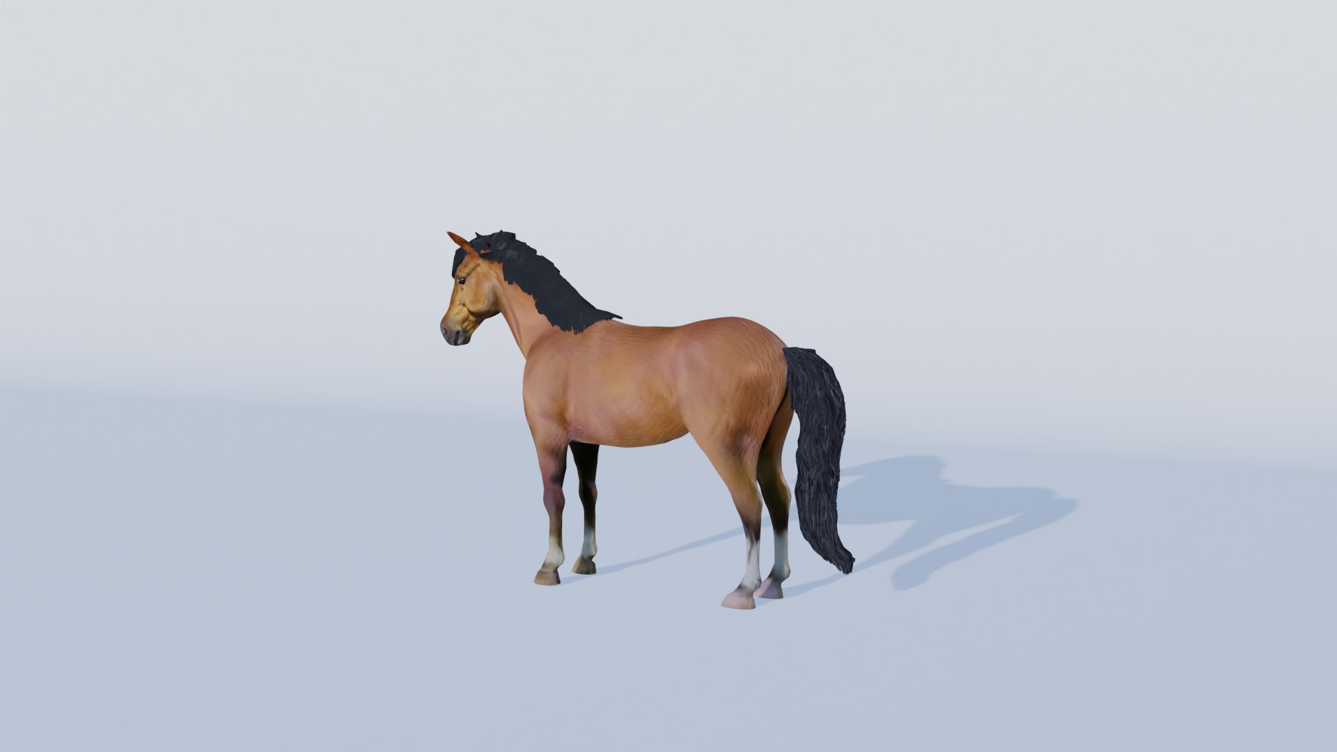 3D Model of a Brown Horse Low-poly 3D model_4