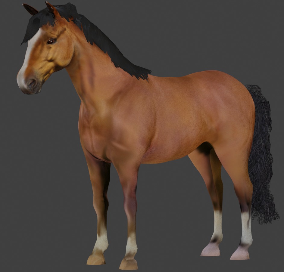 3D Model of a Brown Horse Low-poly 3D model_11