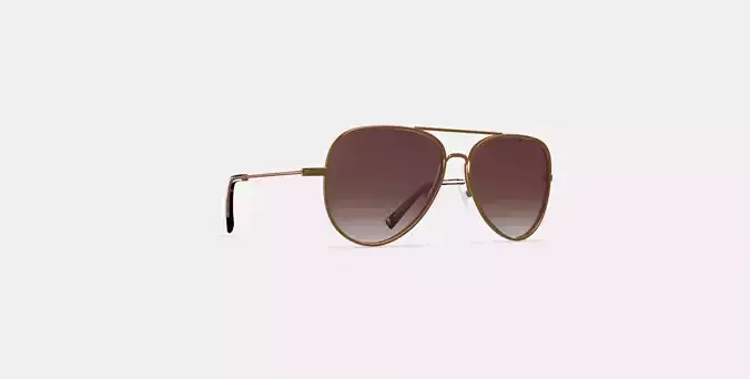 Raider Sunglasses in Rose Gold 3D model