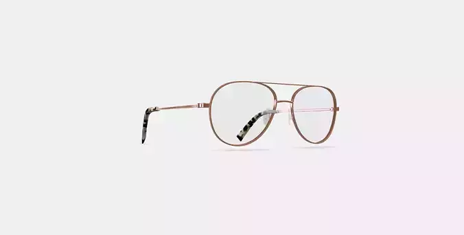 York Eyeglasses in Rose Gold 3D model
