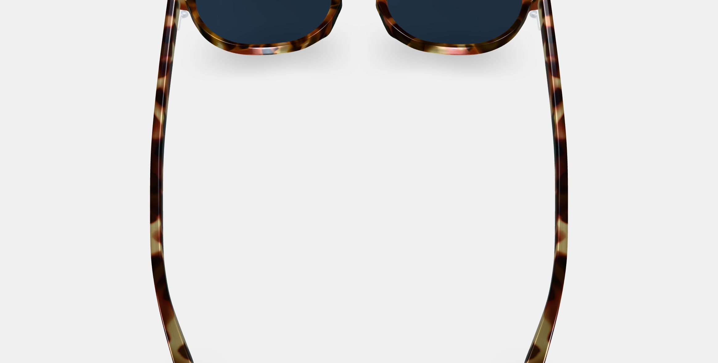 Sydney Sunglasses in Brioche Tortoise 3D model_4