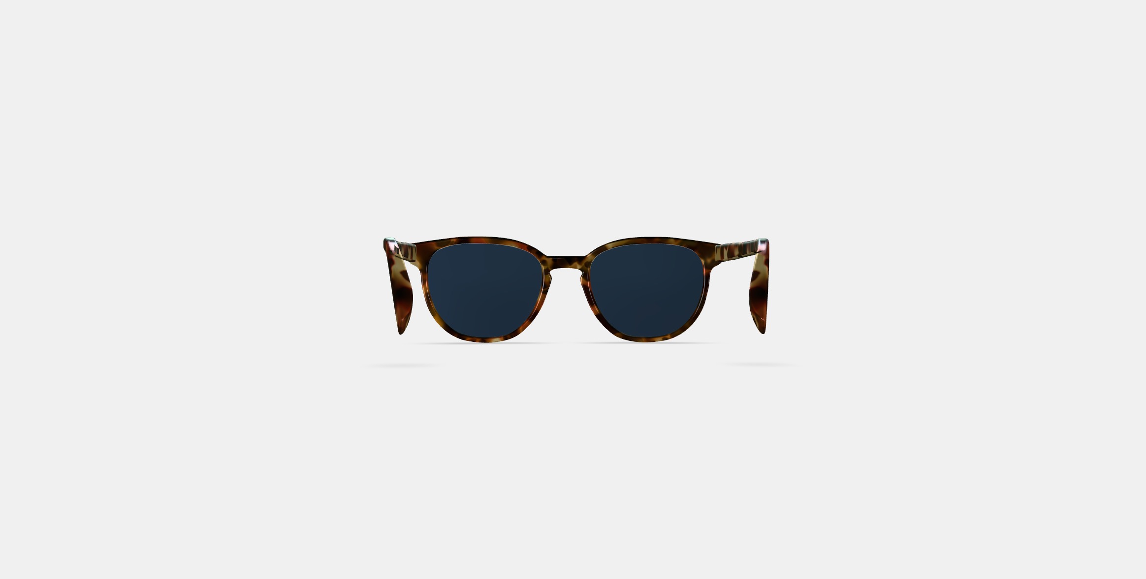 Sydney Sunglasses in Brioche Tortoise 3D model_14