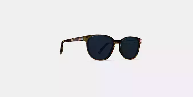 Sydney Sunglasses in Brioche Tortoise