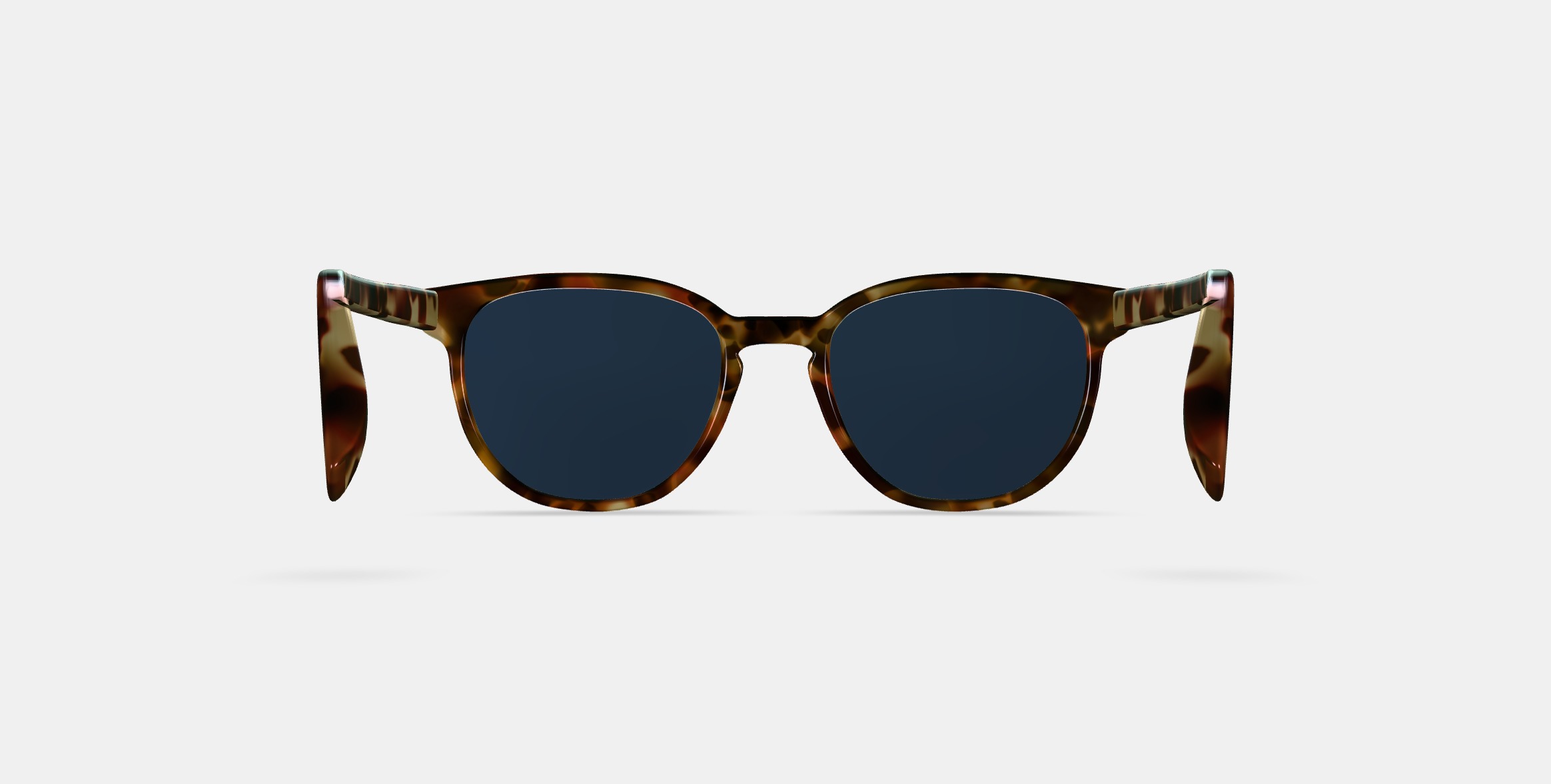 Sydney Sunglasses in Brioche Tortoise 3D model_15