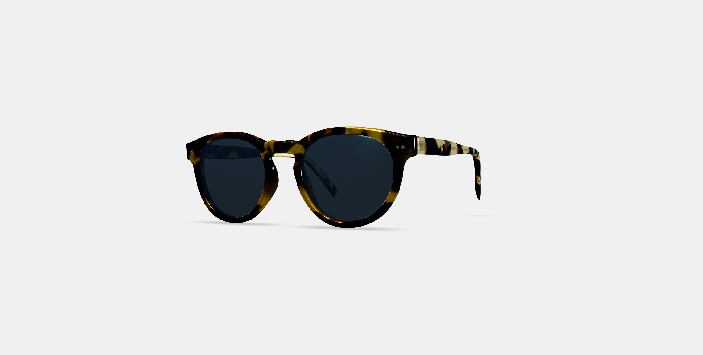 Hayes Sunglasses in Mesquite Tortoise 3D model_12
