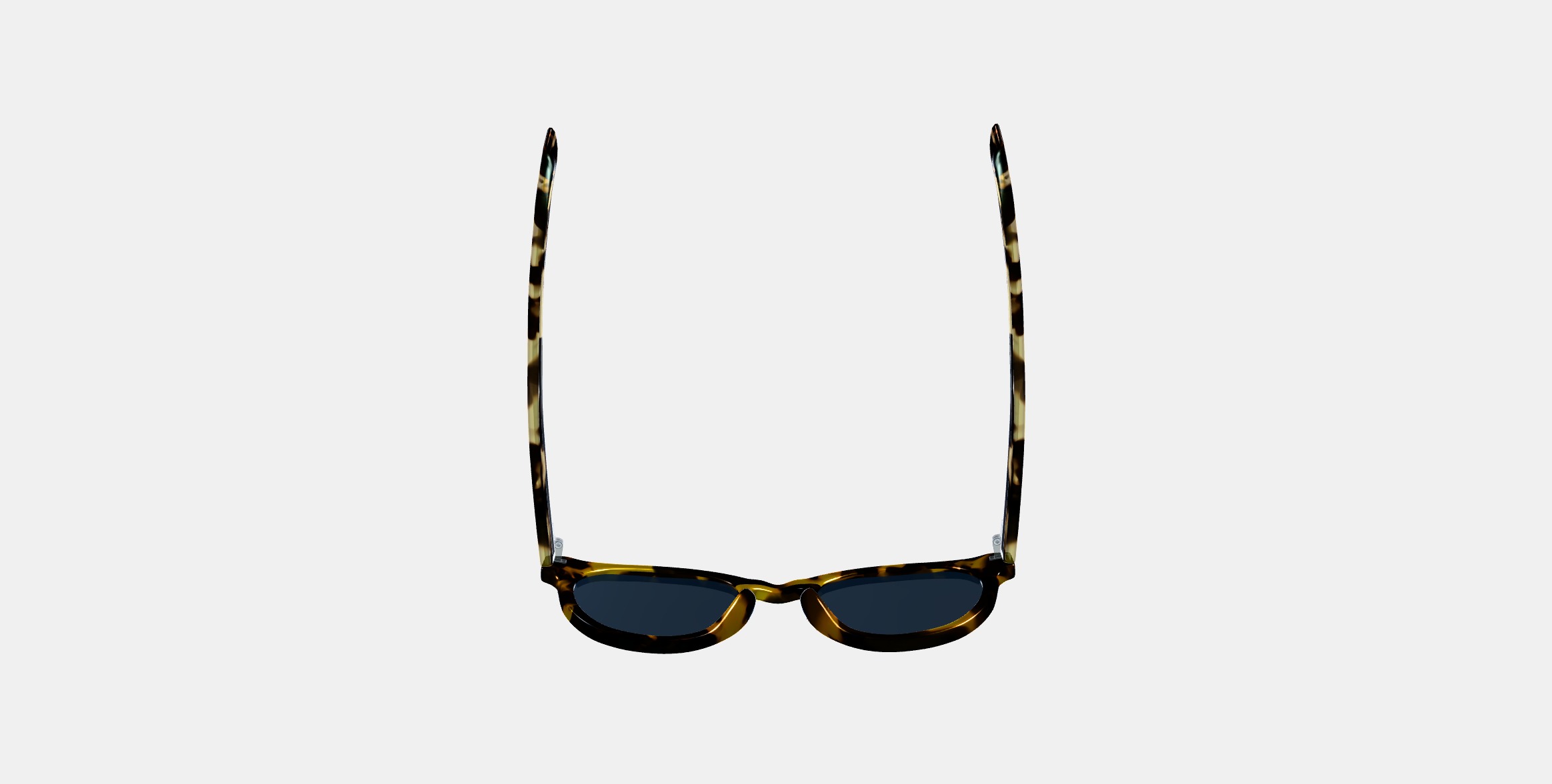 Hayes Sunglasses in Mesquite Tortoise 3D model_7