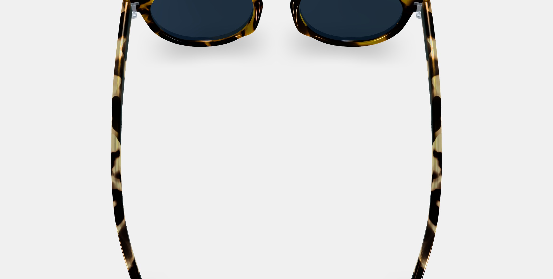 Hayes Sunglasses in Mesquite Tortoise 3D model_5