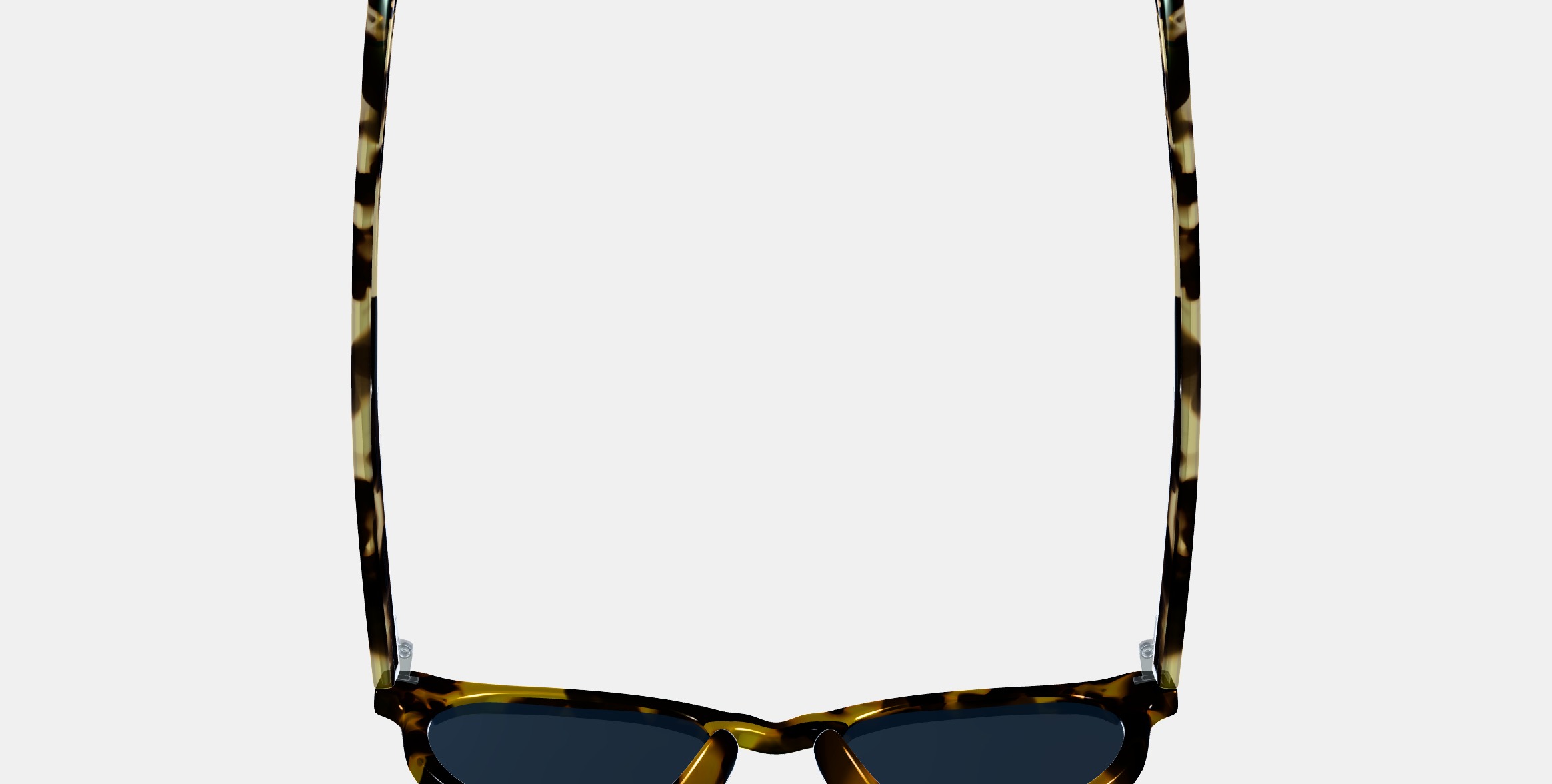 Hayes Sunglasses in Mesquite Tortoise 3D model_8