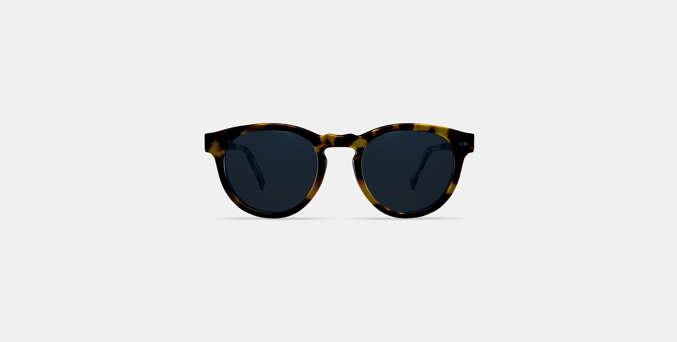 Hayes Sunglasses in Mesquite Tortoise 3D model_10