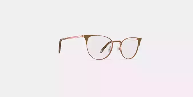 Ava Eyeglasses in Rose Gold 3D model
