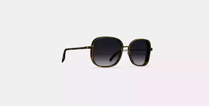 Fernanda Sunglasses in Cognac Tortoise with Polished Gold