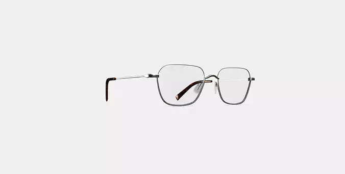 Healey Eyeglasses in Polished Silver
