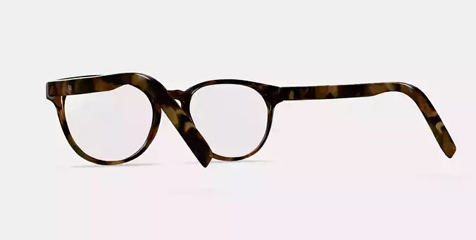 Whalen Eyeglasses in Terrazzo Tortoise 3D model