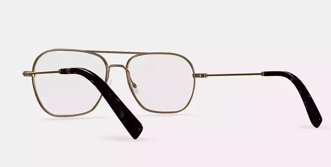 Abe Eyeglasses in Polished Gold