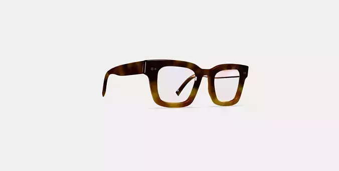 Kemi Eyeglasses in Sunbeam Tortoise Fade 3D model