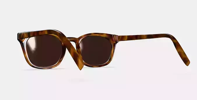 Newman Sunglasses in Woodgrain Tortoise 3D model