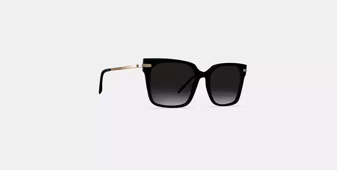 Vela Sunglasses in Jet Black with Polished Gold 3D model
