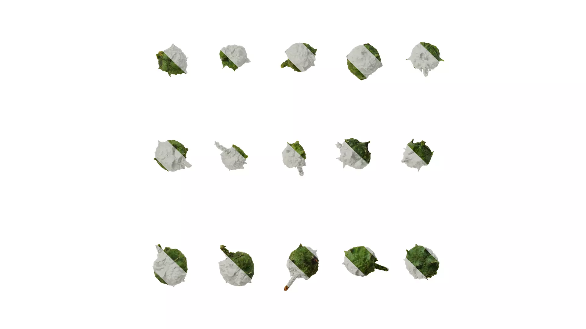 Anydrafts Chamaecyparis obtusa Fruit 01 Texture_0