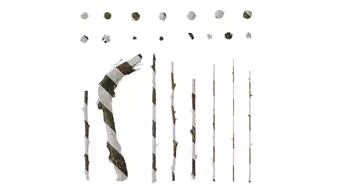 Anydrafts Chamaecyparis pisifera Atlas 04