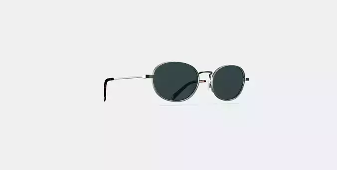 Albie Sunglasses in Polished Silver 3D model