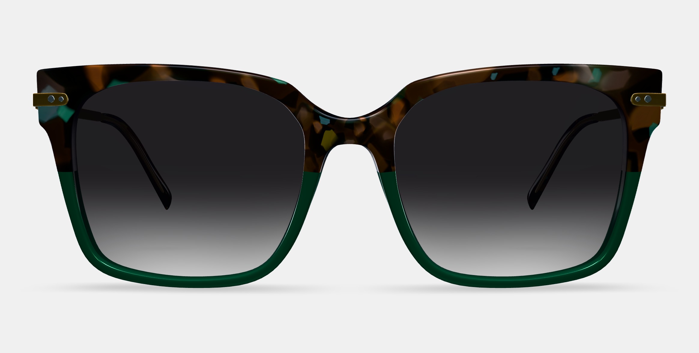 Vela Sunglasses in Aventurine Tortoise with Polished Gold 3D model_11