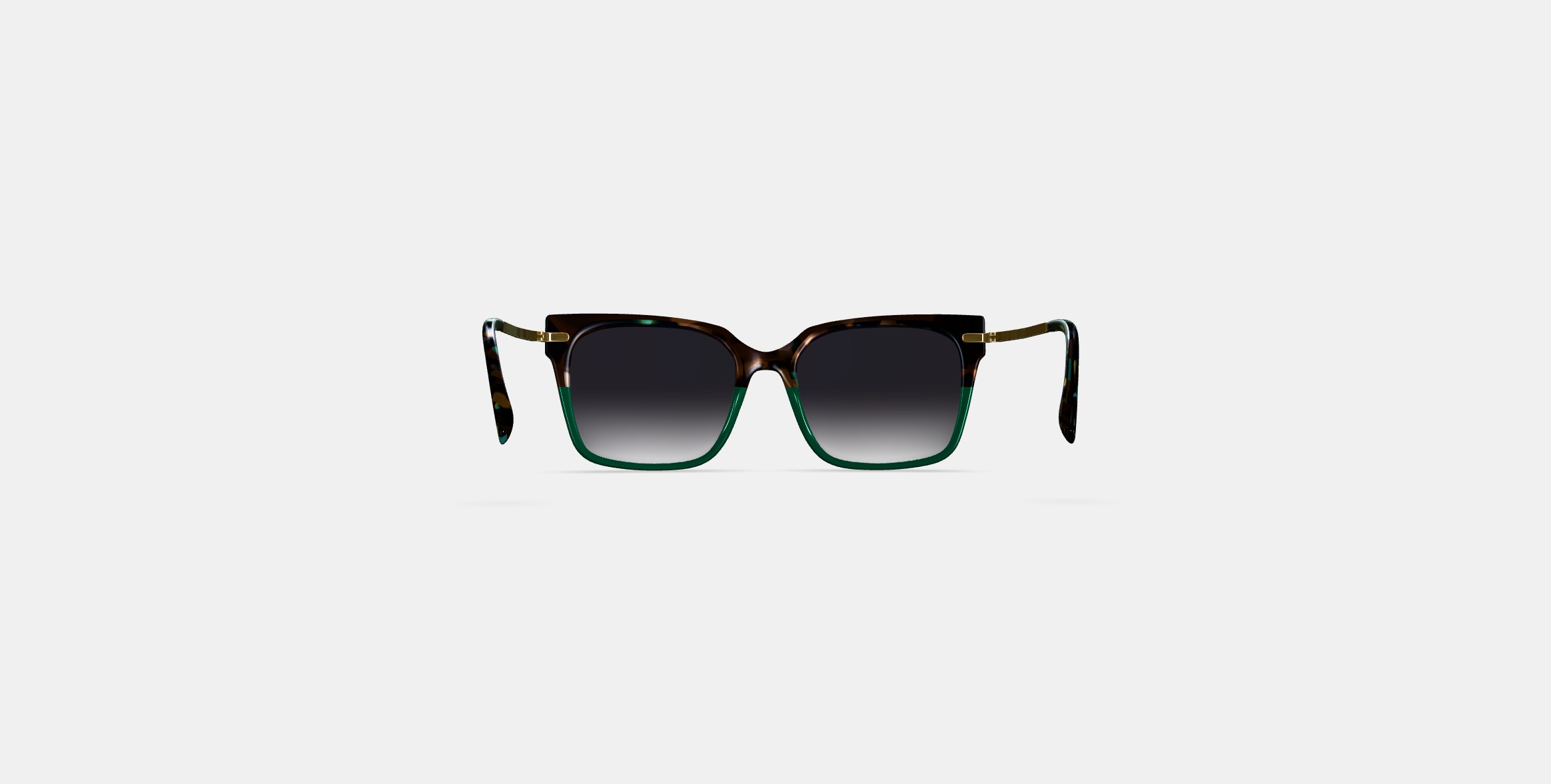 Vela Sunglasses in Aventurine Tortoise with Polished Gold 3D model_14