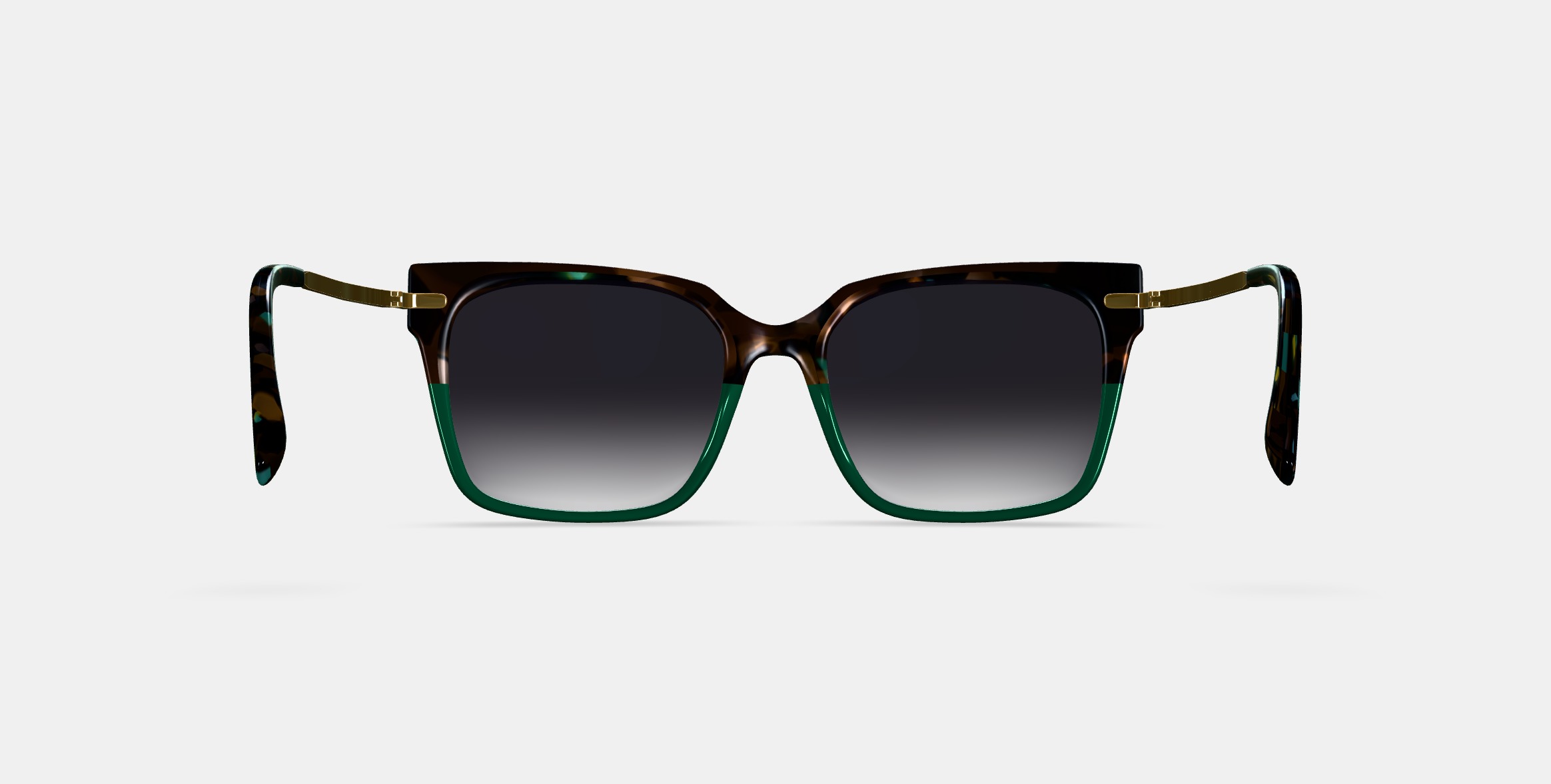 Vela Sunglasses in Aventurine Tortoise with Polished Gold 3D model_15