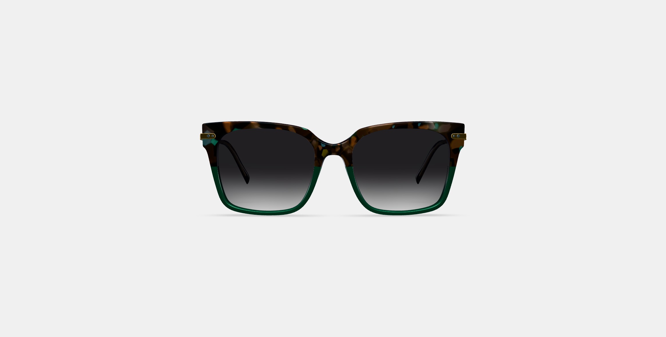 Vela Sunglasses in Aventurine Tortoise with Polished Gold 3D model_10