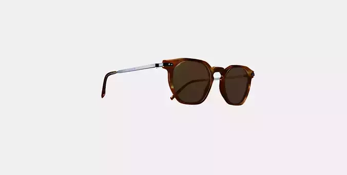 Rustin Sunglasses in Root Beer with Brushed Ink