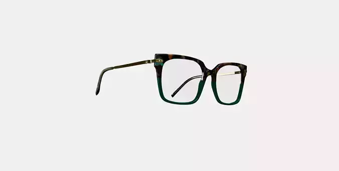 Vela Eyeglasses in Aventurine Tortoise with Polished Gold
