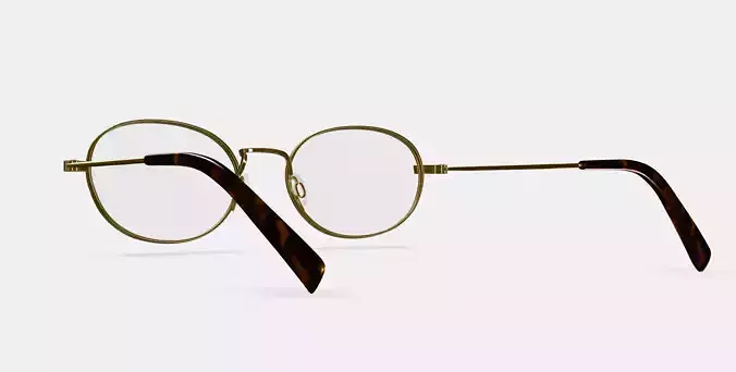 Albie Eyeglasses in Polished Gold 3D model