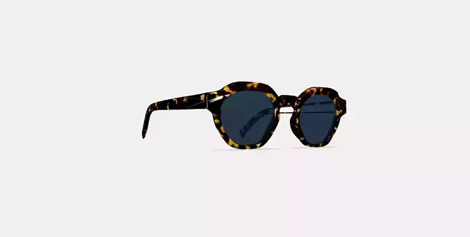 Javier Sunglasses in Black Oak Tortoise