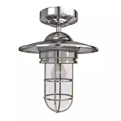 Medium outdoor ceiling light