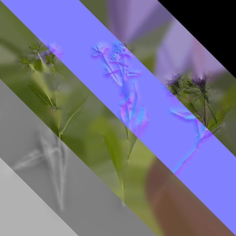 Anydrafts Centaurea cyanus blue diadem Atlas 03 Texture_8