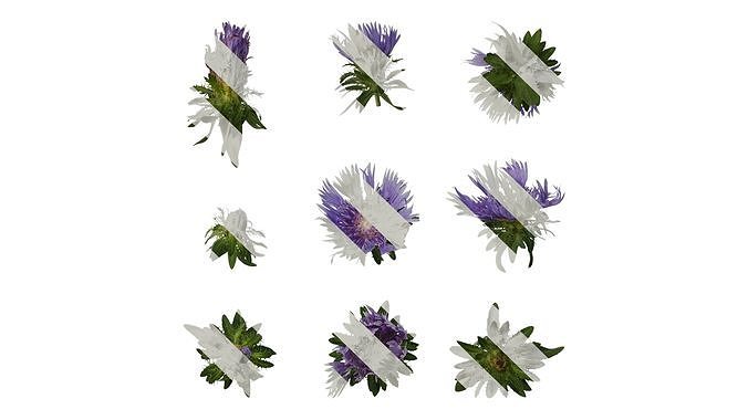 Anydrafts Centaurea cyanus blue diadem Atlas 06 Texture