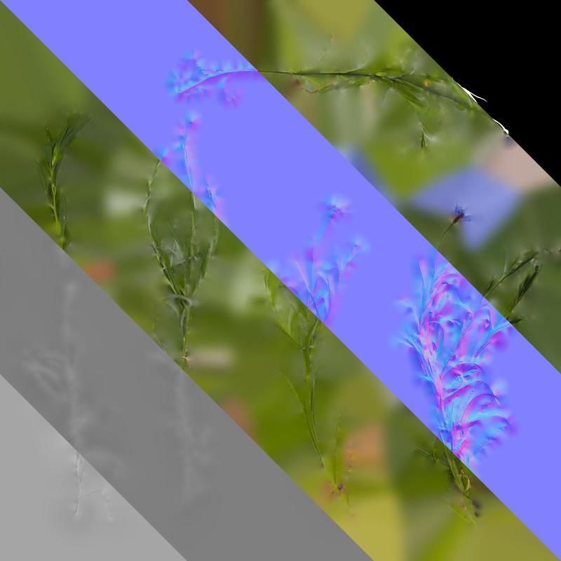 Anydrafts Centaurea cyanus blue diadem Atlas 08 Texture_8