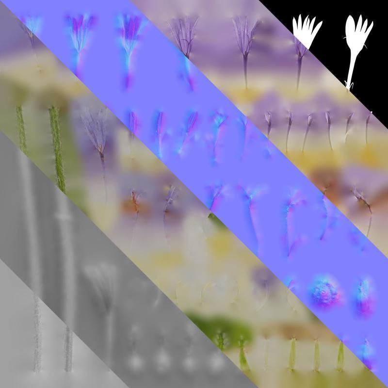 Anydrafts Centaurea cyanus blue diadem Flower 01 Texture_8