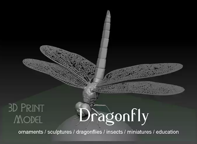 Dragonfly 3D print model